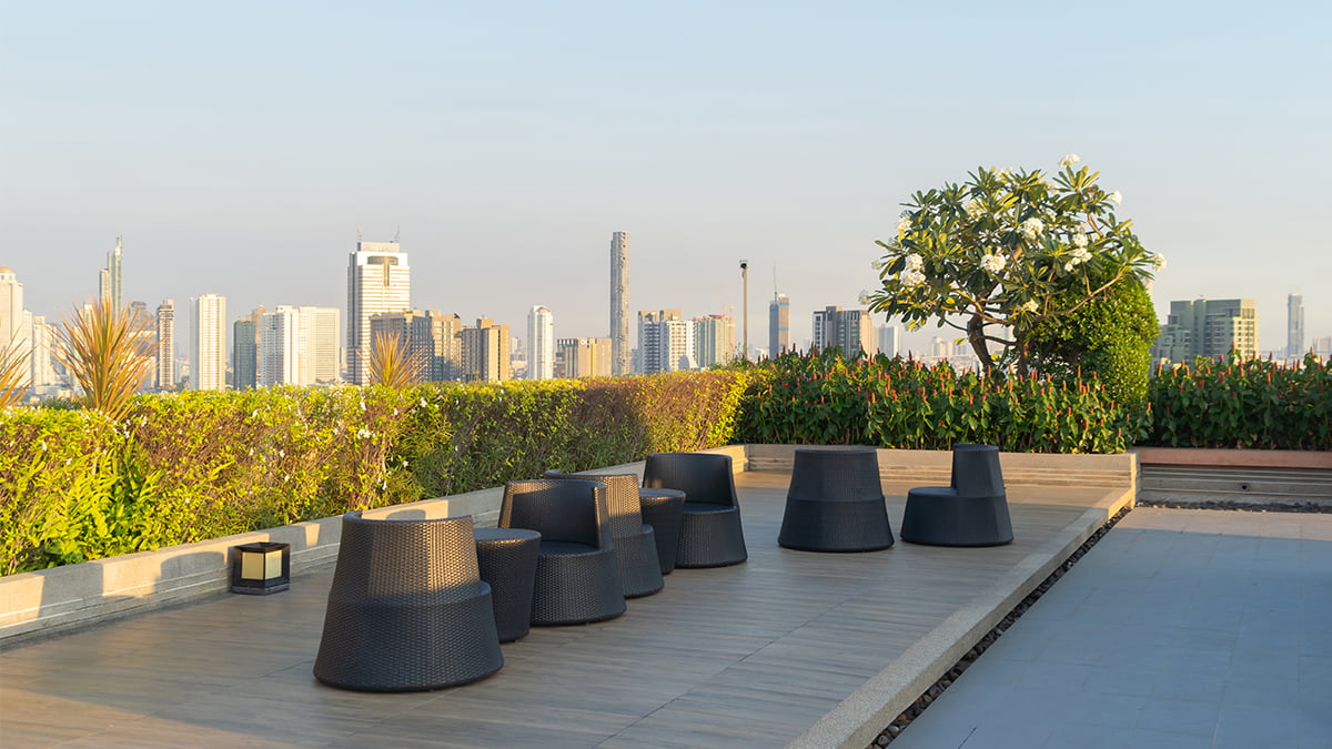 Embrace Sustainability with a Rooftop Garden-1