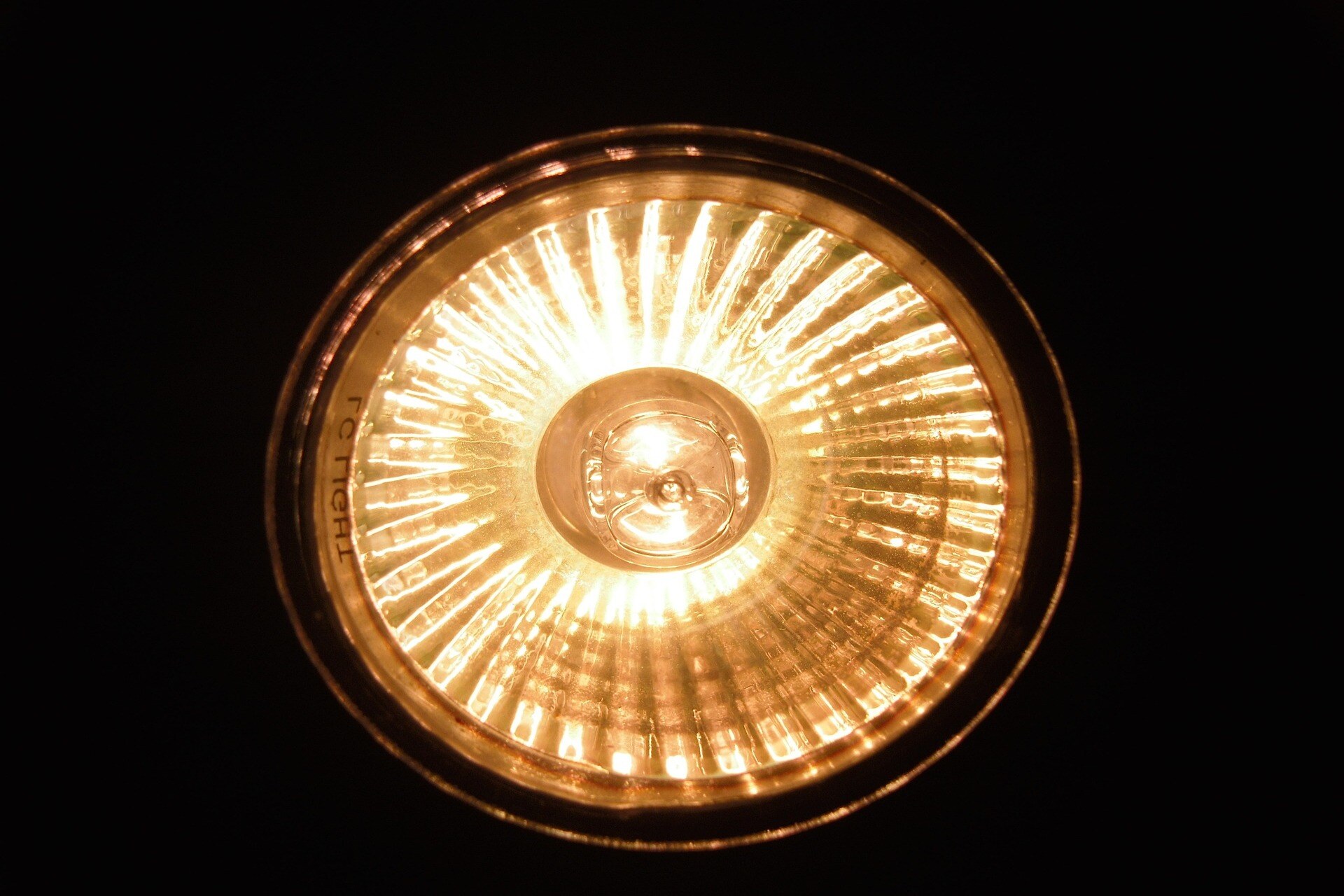 Halogen Bulbs