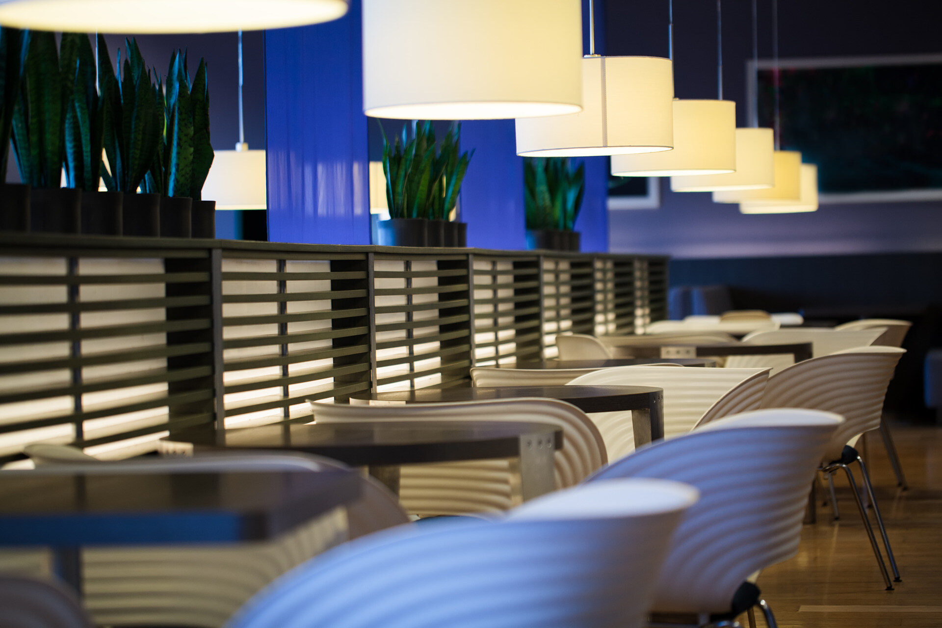 empty modern restaurant