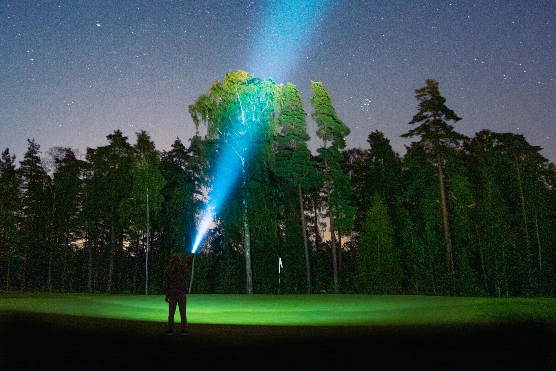 majestic-starry-sky-during-the-nighttime-in-a-fore-2023-11-27-05-04-21-utc (2) (1)