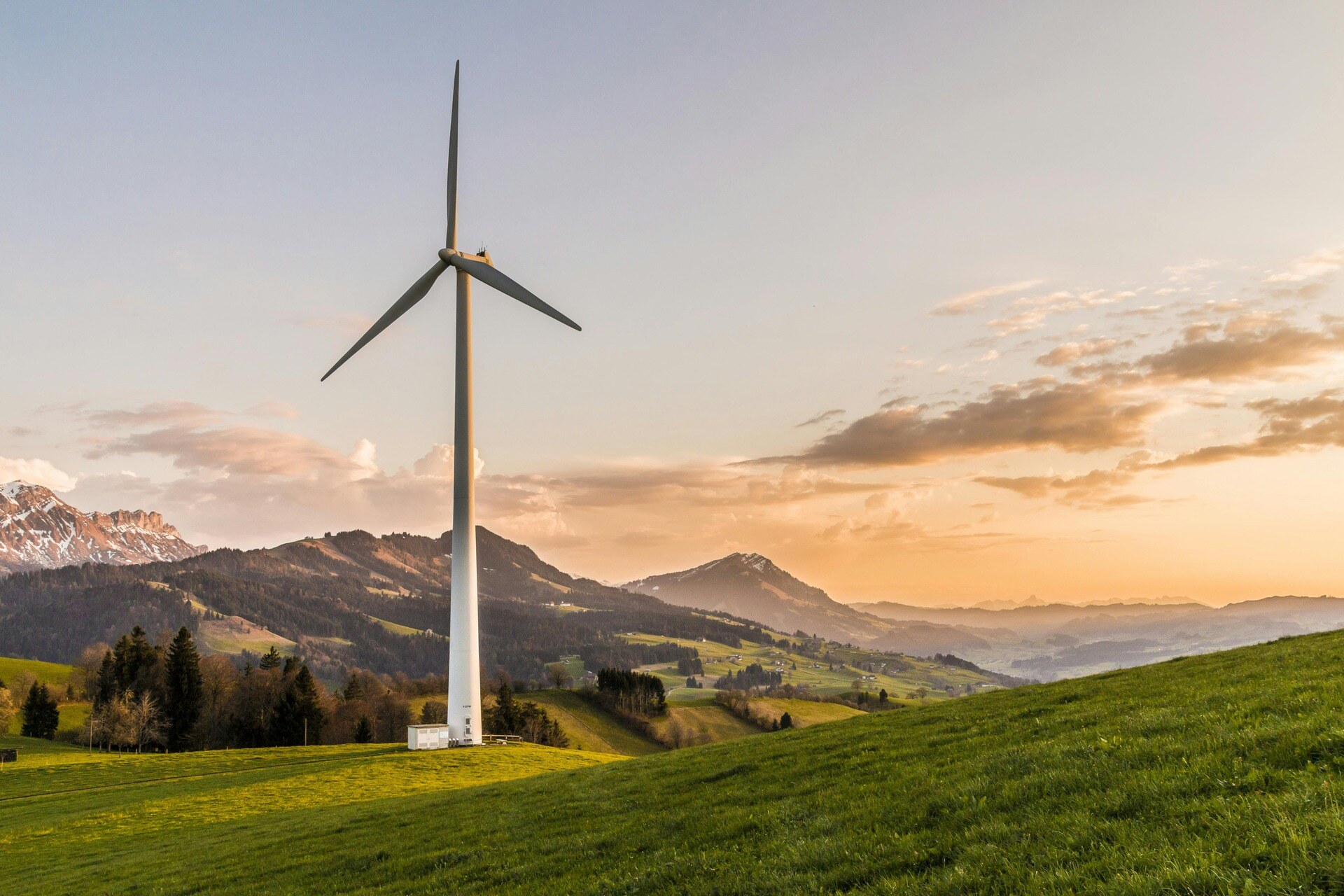 wind turbine in nature